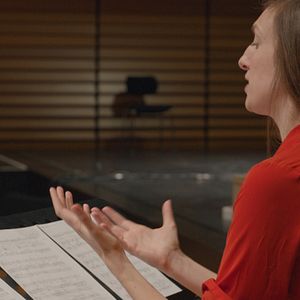 Bilder Hölderlins Echo