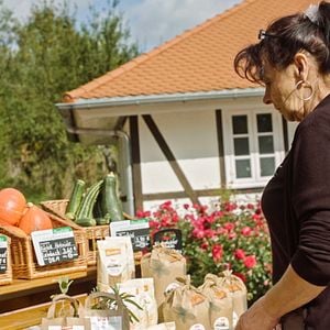 Bilder Gemeinsam nüchtern