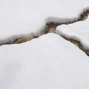 Bilder Disturbed Earth