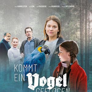 Bilder Kommt ein Vogel geflogen