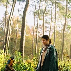 Bilder Kommt ein Vogel geflogen