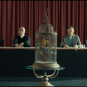 Bilder Kommt ein Vogel geflogen