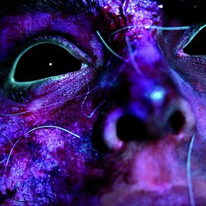 Bilder Rapunzels Fluch 2 - Sie Ist zurück!