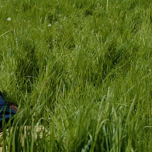 Bilder Lambert Wilson