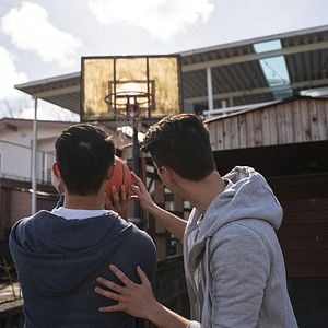 Bilder Golden Delicious