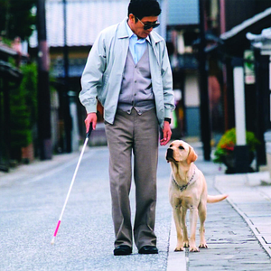 Bilder Kaoru Kobayashi