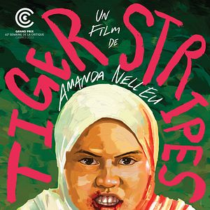 Bilder Tiger Stripes