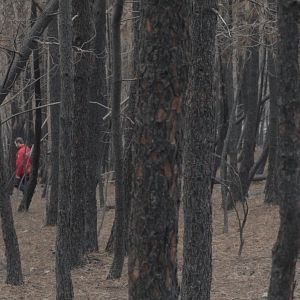 Bilder Tale of the Three Flames