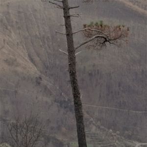 Bilder Tale of the Three Flames