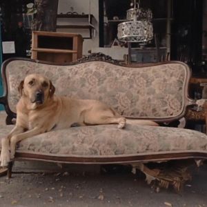 Bilder Heaven and Home