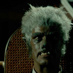 Bilder Der Werwolf von Washington