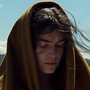 Bilder Eles transportan a morte