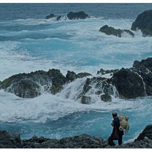 Bilder Eles transportan a morte