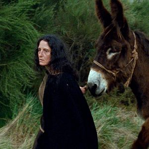 Bilder Eles transportan a morte