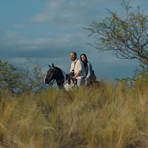 Bilder Die Missetäter