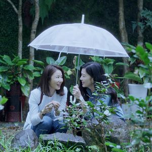 Bilder At The Moment