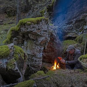 Bilder Vivre avec les loups