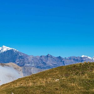 Bilder Vivre avec les loups