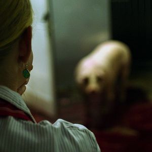 Bilder Wir und das Tier - Ein Schlachthausmelodram