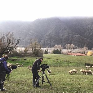 Bilder Wir und das Tier - Ein Schlachthausmelodram