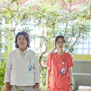 Bilder Bo-Young Park