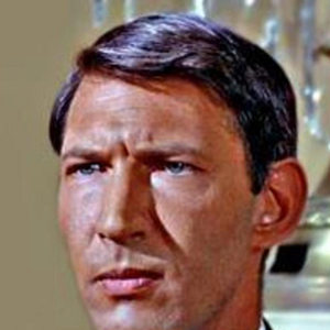 Bilder Lawrence Montaigne