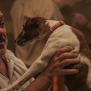 Bilder Thierry Lhermitte