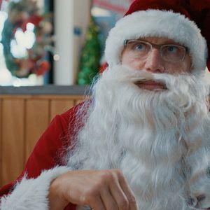 Bilder Hunde - allein zu Haus