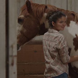 Bilder Charlies Pferd – Das Herz eines Champions