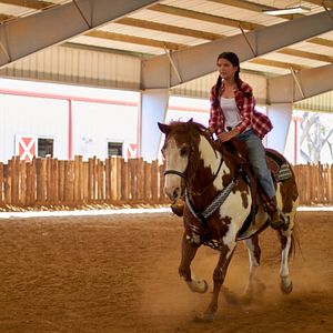 Bilder Charlies Pferd – Das Herz eines Champions