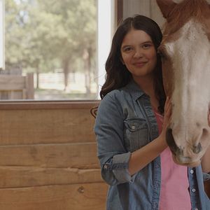 Bilder Charlies Pferd – Das Herz eines Champions