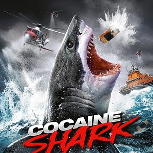 Bilder Cocaine Shark