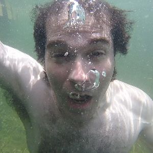 Bilder Cocaine Shark