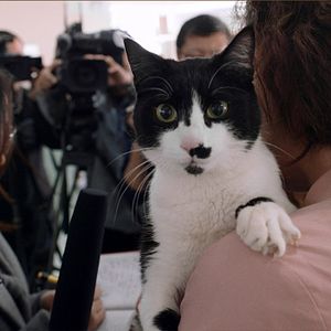 Bilder Die Mechanik der Dinge