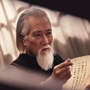 Bilder Ip Man: The Awakening