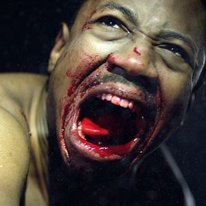 Bilder Skal - Fight For Survival