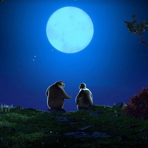 Bilder Mission Babybär - Eine tierische Tour