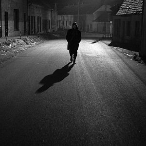 Bilder Die Werckmeisterschen Harmonien