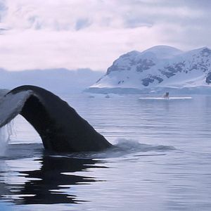 Bilder Die Abenteuer von Kina & Yuk