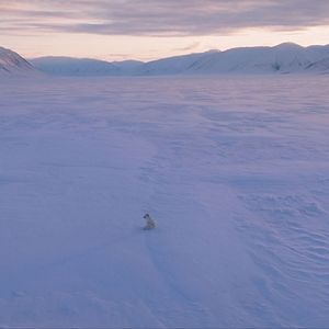 Bilder Die Abenteuer von Kina & Yuk