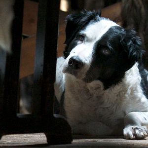 Bilder Die Abenteuer von Kina & Yuk