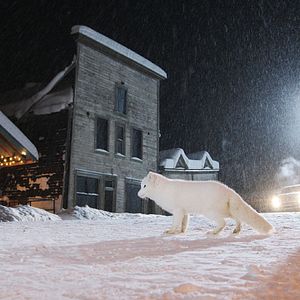 Bilder Die Abenteuer von Kina & Yuk