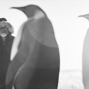 Bilder Rückkehr zum Land der Pinguine