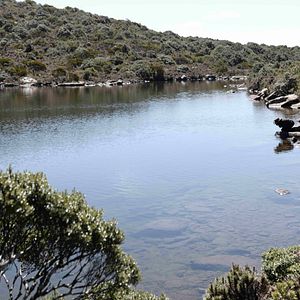 Bilder The Survival Of Kindness - Das Überleben der Freundlichkeit