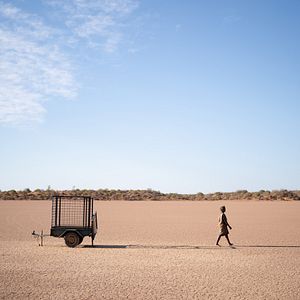 Bilder The Survival Of Kindness - Das Überleben der Freundlichkeit