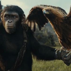 Bilder Planet der Affen 4: New Kingdom