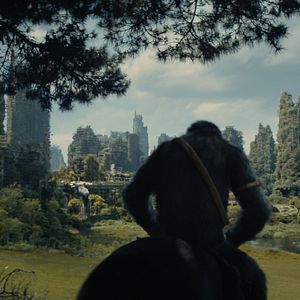 Bilder Planet der Affen 4: New Kingdom