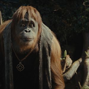 Bilder Planet der Affen 4: New Kingdom