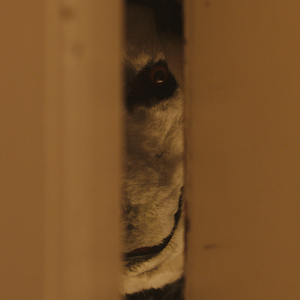 Bilder Nicolai Narvesen Lied