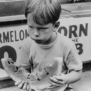 Bilder Der kleine Ausreißer